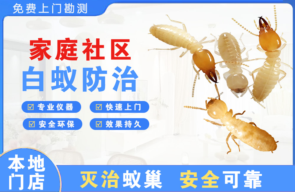 灌云家庭社区白蚁防治