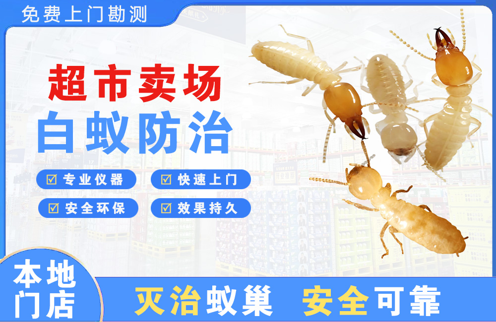 灌云超市卖场白蚁防治