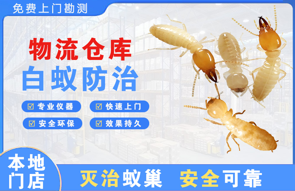 灌云物流仓库白蚁防治