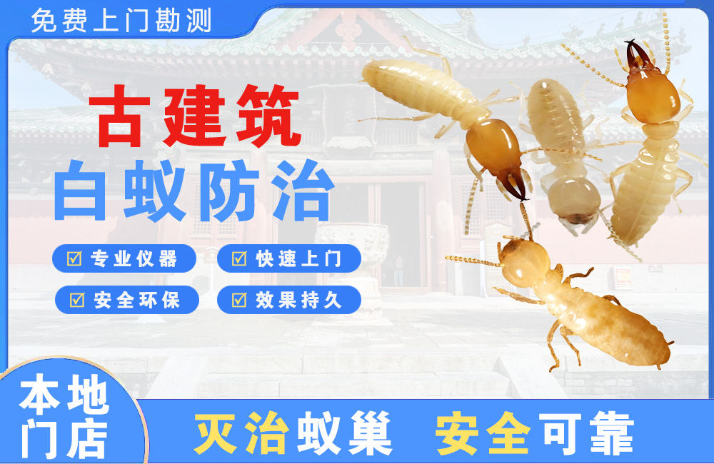 灌云古建筑白蚁防治